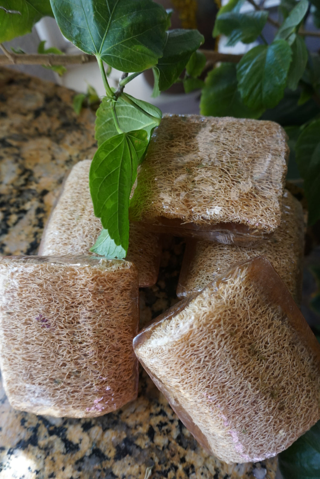 Green Tea Soap with Natural Loofa